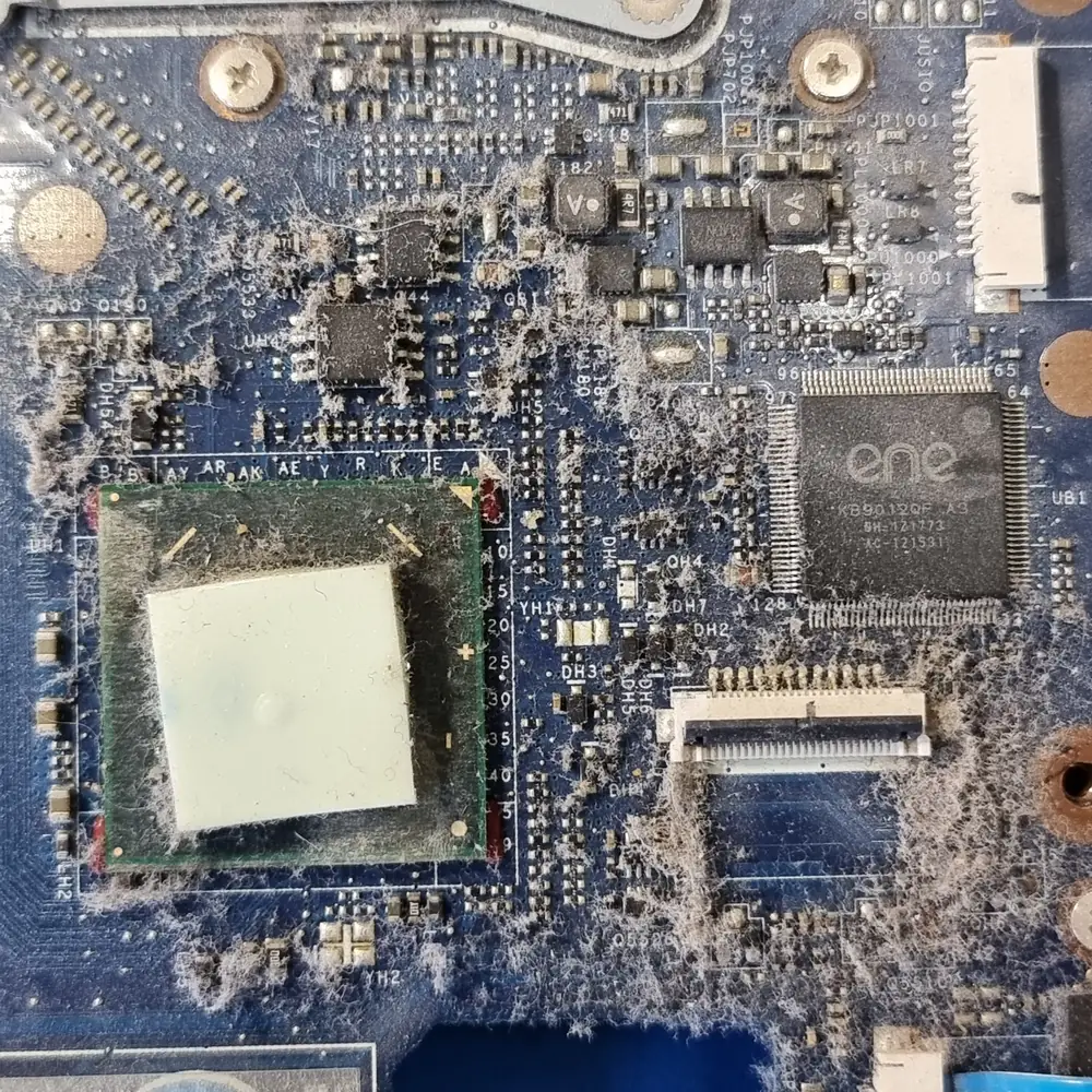 Крупный план синей материнской платы ноутбука: вокруг процессора с белой прокладкой и микросхемы контроллера скопились клочья серой пыли.