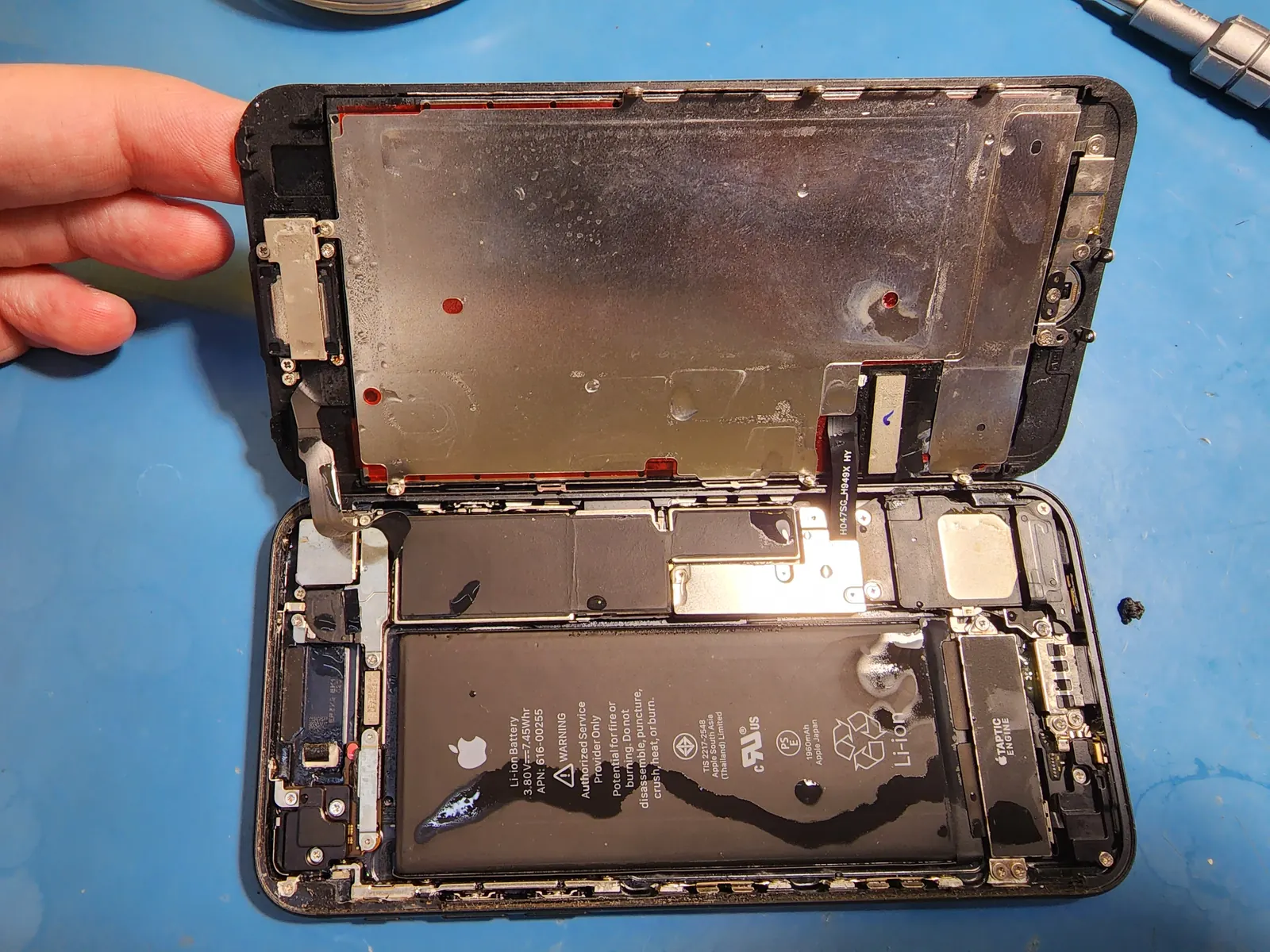 Вскрытый iPhone 7 в руке над синим ковриком: дисплей откинут, на аккумуляторе видны тёмные потёки.